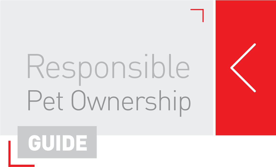 Responsible Pet Ownership - GUIDE