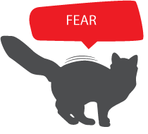 恐懼 FEAR