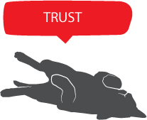 信任 TRUST