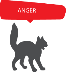 生氣 ANGER