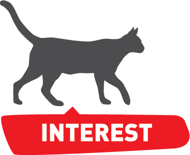 興趣 INTEREST 興趣 INTEREST