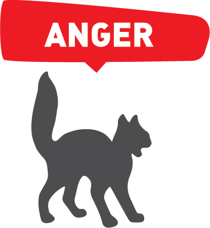 生氣 ANGER 生氣 ANGER