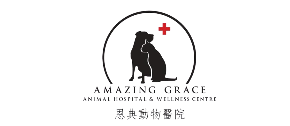 AMAZING GRACE